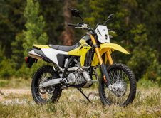 Dr Z400srjm5 Action 19