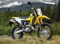 Dr Z400srjm5 Action 21