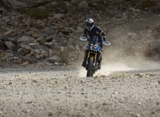 Bmw Motorrad F 450 Gs (10)