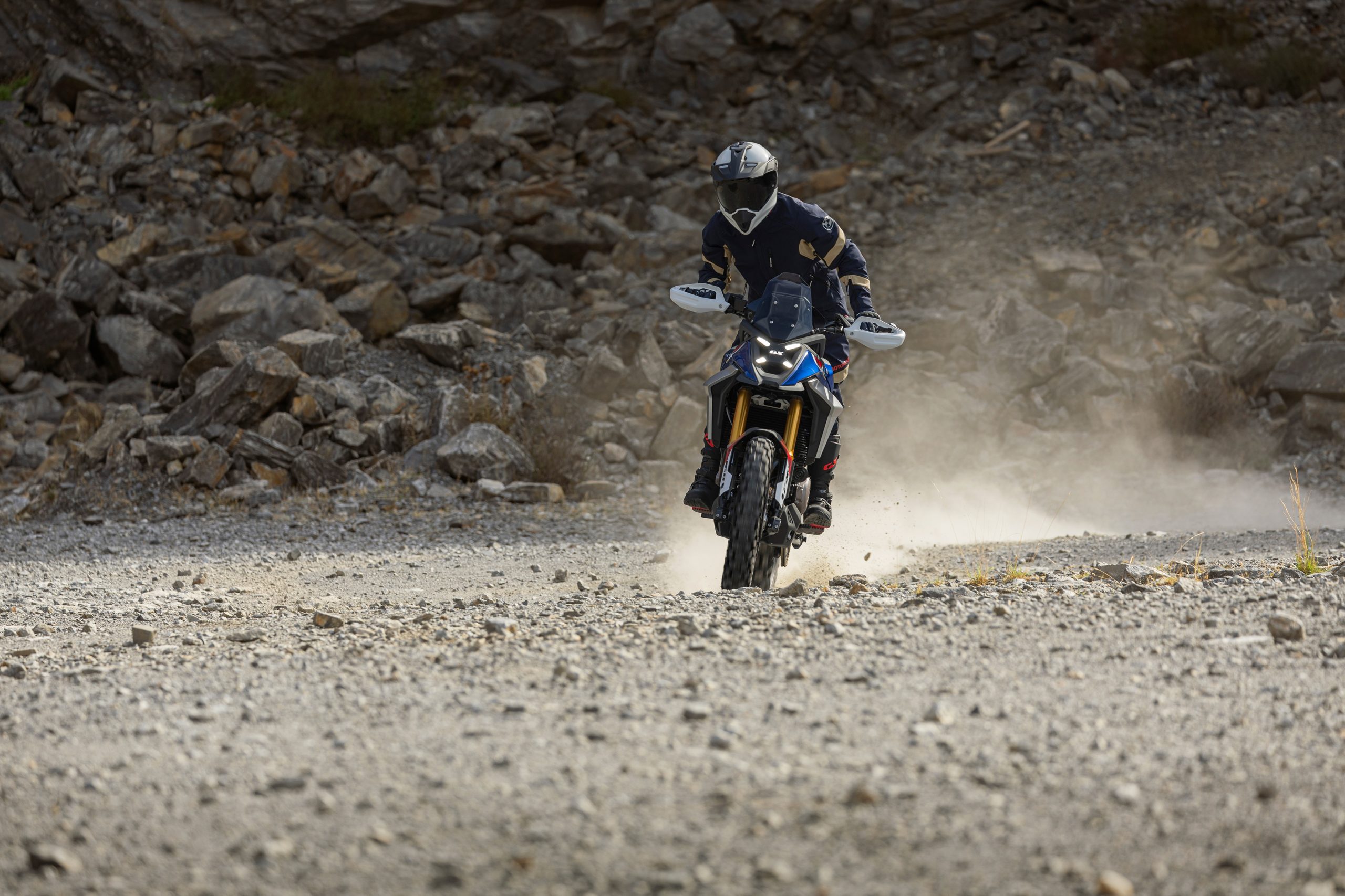 Bmw Motorrad F 450 Gs (10)