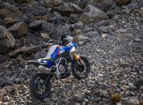 Bmw Motorrad F 450 Gs (4)