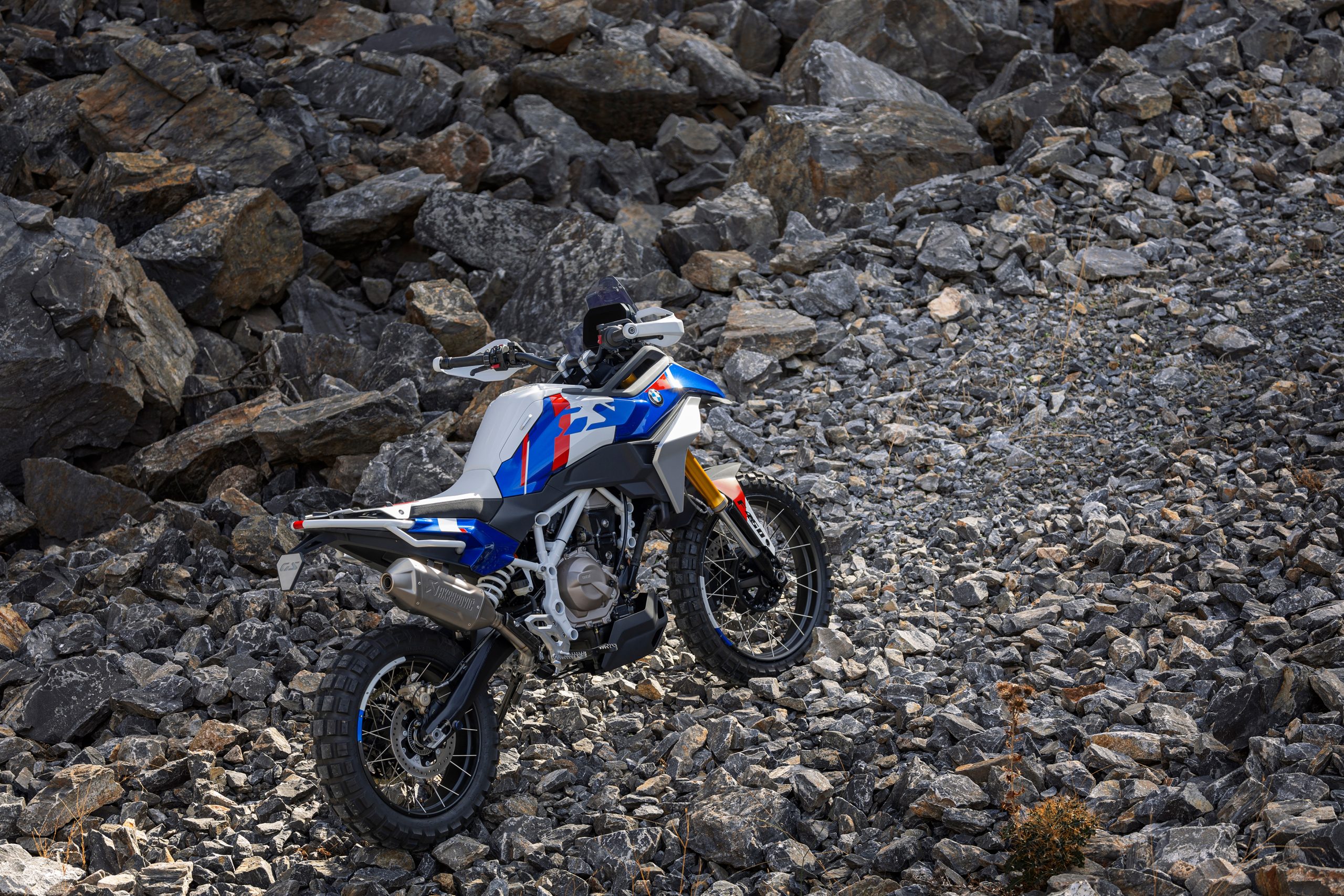 Bmw Motorrad F 450 Gs (4)