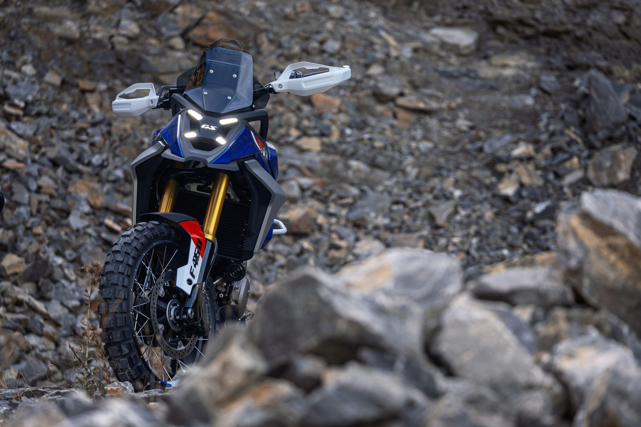 Bmw Motorrad F 450 Gs (5)