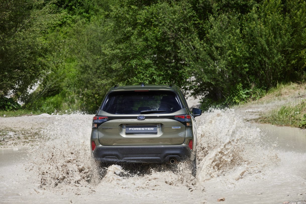 Testen Sie den Subaru Forester 2025: das SUV für alle, die es wagen, es ...