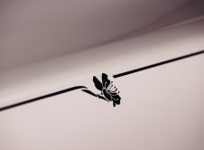 Rolls Royce Phantom Cherry Blossom (3)