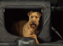 Discovery Accsessory Pack For Dogs 140525 01