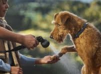 Discovery Accsessory Pack For Dogs 140525 02