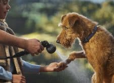 Discovery Accsessory Pack For Dogs 140525 02