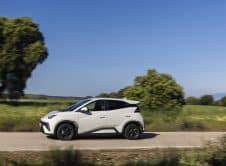 Dolphin Surf Apricity White Dinámico (12)