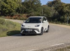 Dolphin Surf Apricity White Dinámico (19)