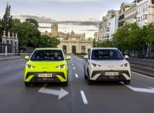 Dolphin Surf Gama Dinámico (1)