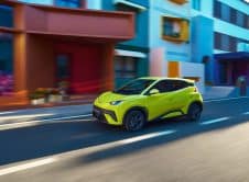 Dolphin Surf Lifestyle (18)