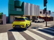 Dolphin Surf Lifestyle (2)