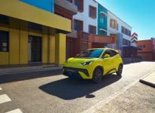 Dolphin Surf Lifestyle (6)