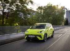 Dolphin Surf Lime Green Dinámico (1)