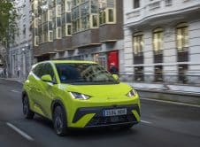 Dolphin Surf Lime Green Dinámico (13)