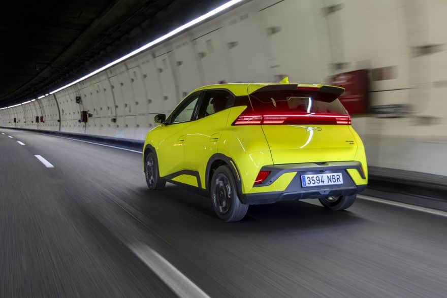 Dolphin Surf Lime Green Dinámico (15)