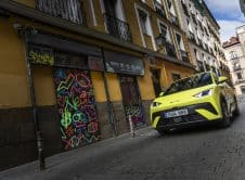 Dolphin Surf Lime Green Dinámico (17)