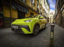 Dolphin Surf Lime Green Estático (18)