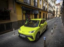 Dolphin Surf Lime Green Estático (19)