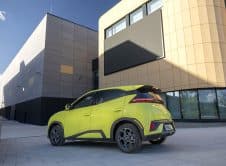 Dolphin Surf Lime Green Estático (21)