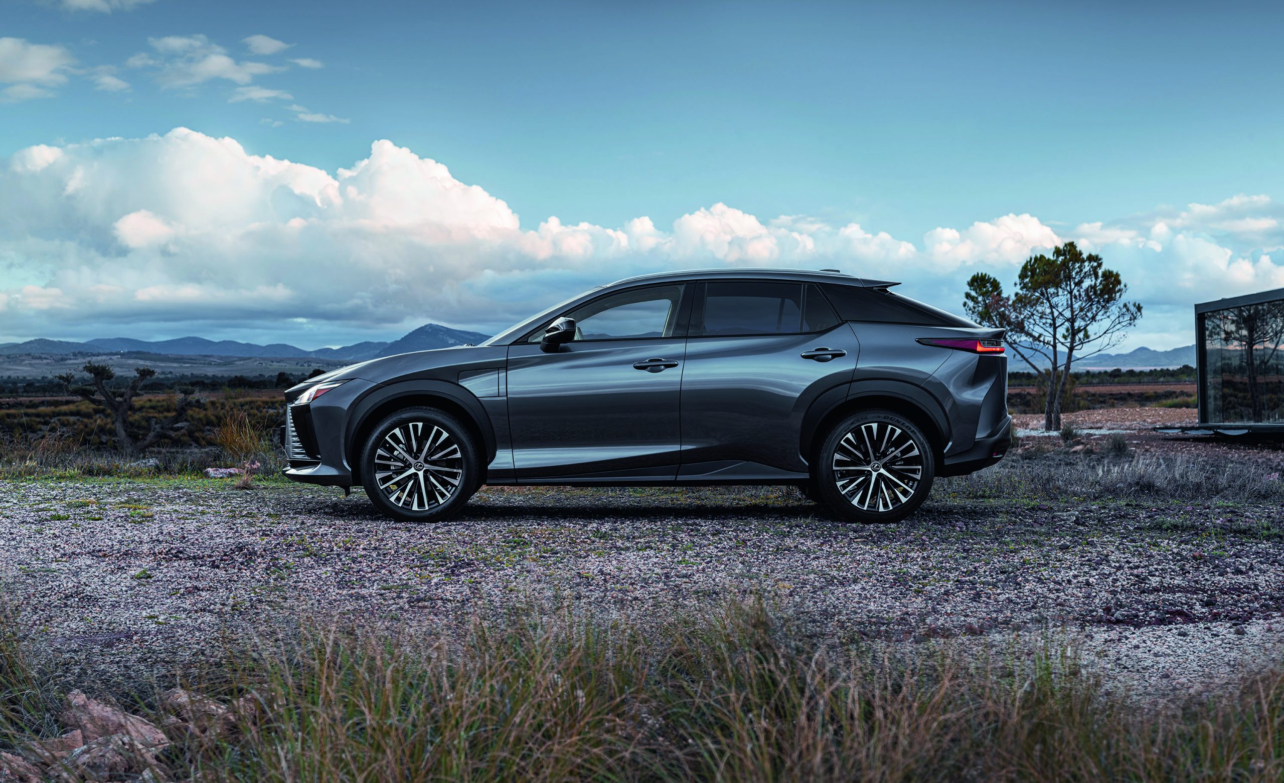 Lexus Rz 300e E Premium (14)