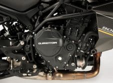 Qj Motor Srt 900 S Detalles (2)