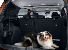 Base De Donnée : Astuce Productions