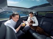 Jaecoo 5 Pet Friendly (1)