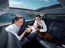 Jaecoo 5 Pet Friendly (1)