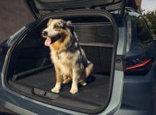 Peugeot 308 308 Sw 2025 (21)