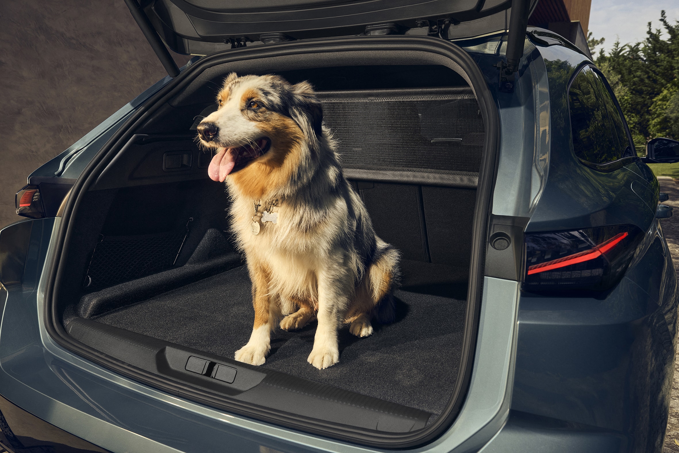 Peugeot 308 308 Sw 2025 (21)