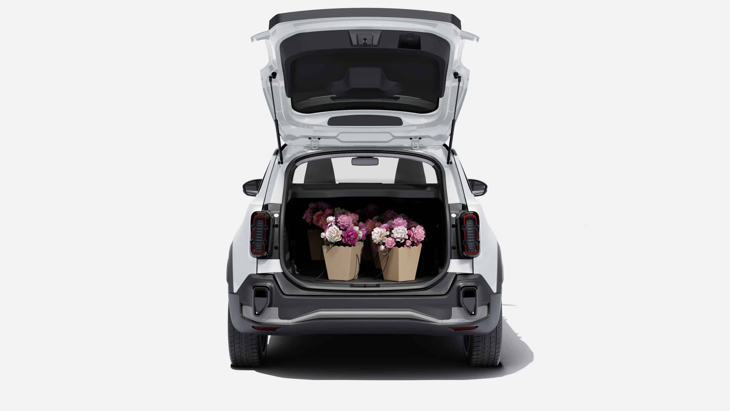 Renault 4 E Tech Electric (b1317)