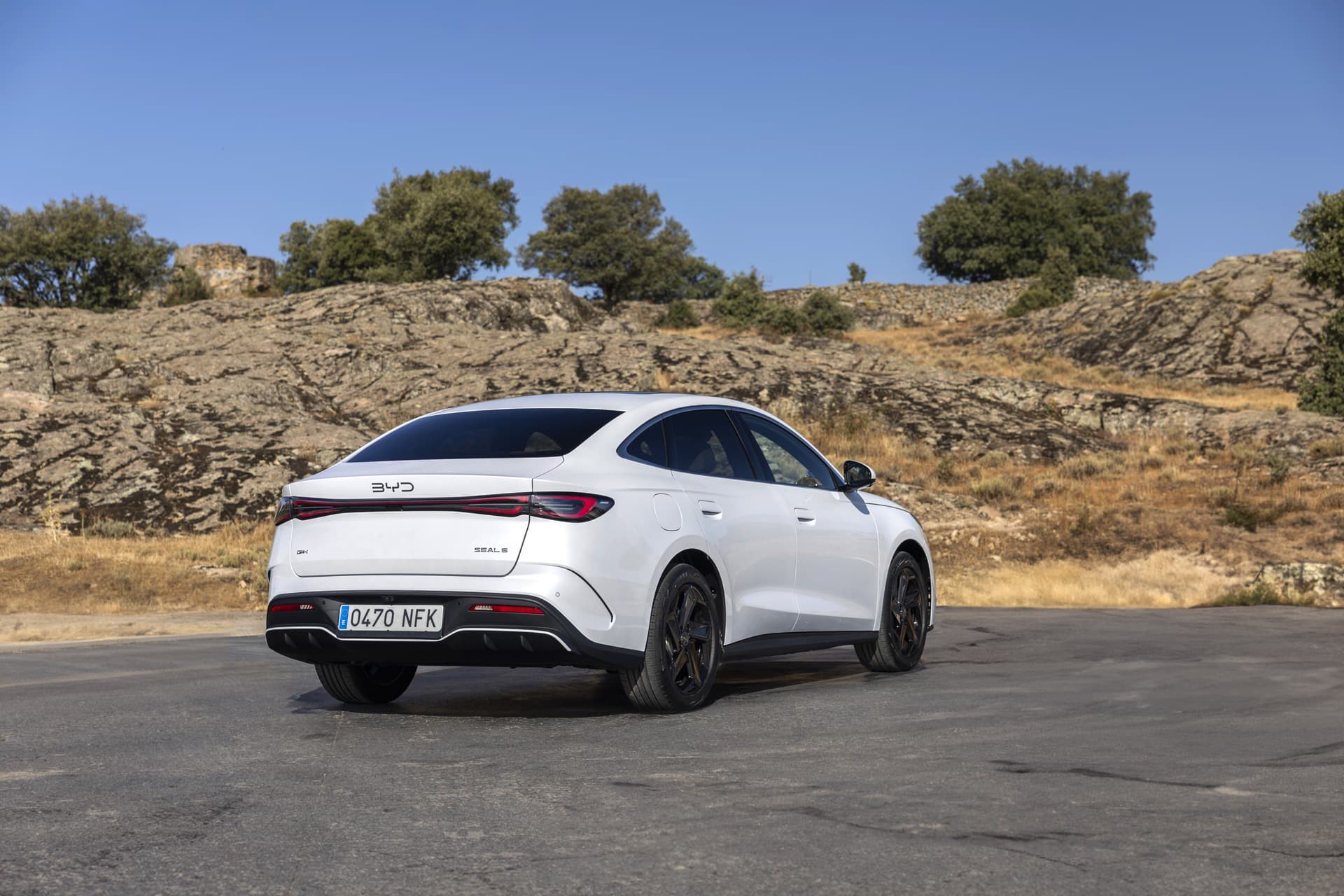 Seal 6 Dm I Estático (9)