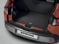 Dacia Spring (bbg)