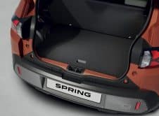 Dacia Spring (bbg)