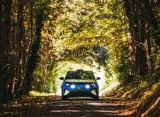 Alpine A290 Rally 52