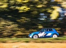 Alpine A290 Rally 53