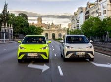 Dolphin Surf Gama Dinámico (1) (1)