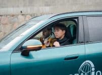 Lepas Sistema Aparcamiento 03