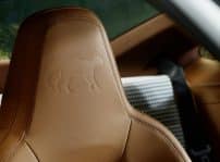 Porsche 911 Latam Amazonas 03