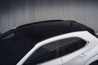 Lexus UX, foto 7 de 23