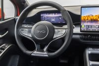 BYD Dolphin G, foto 13 de 14