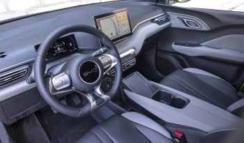 BYD Dolphin Surf lleno
